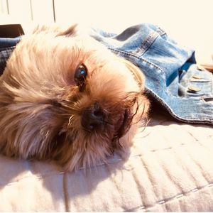 Meet your Posher, Rachel